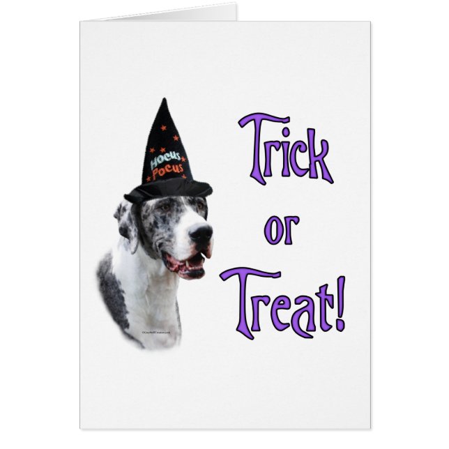 Cartão Grande Dane (Merle) Trick (Frente)