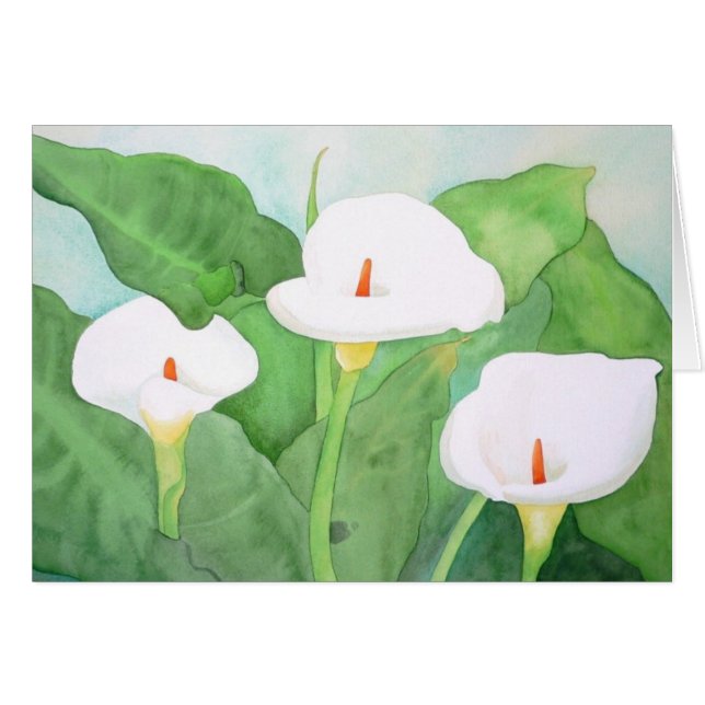 Cartão grande de Sur CalaLillies (Frente Horizontal)