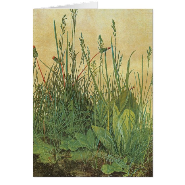 Cartão Grande parte de relvado (Frente)