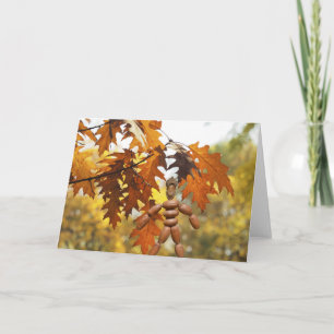 Cartão Grandes árvores de bolotas pequenas crescem.