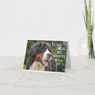 CARTÃO GRANDES DESEJOS NO SEU **ANIVERSÁRIO DE 21 ANOS**