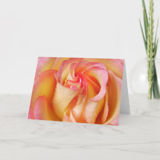 Cartão Grandiflora Rose