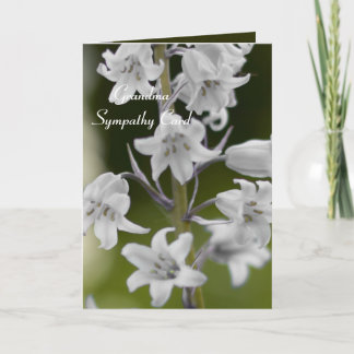 Cartão Grandma, sympathy card