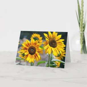 Cartão Grandparents Day greeting card