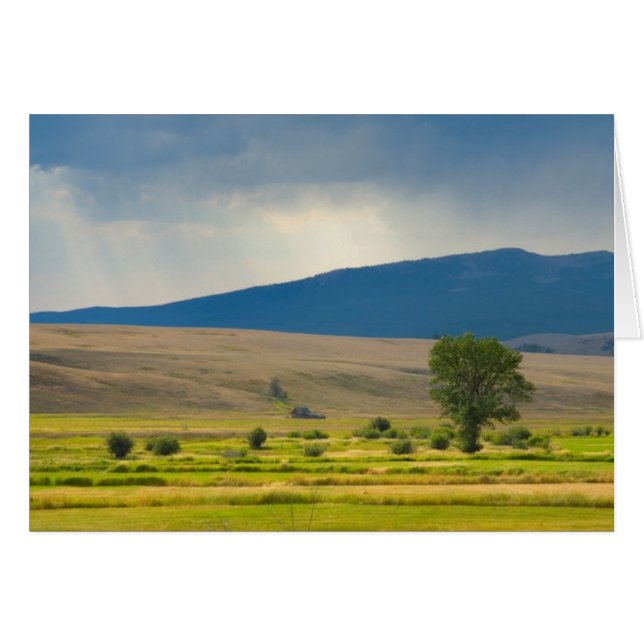 Cartão Granite County Montana (Frente Horizontal)