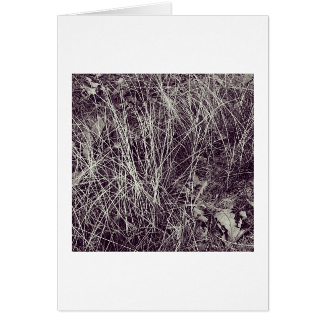 Cartão Grãos (Frente)