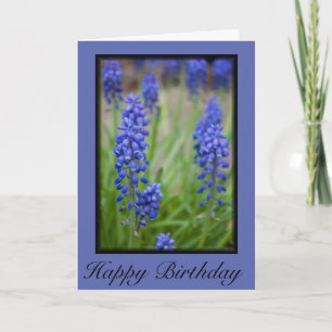 Cartão Grape Hyacinth Card Feliz Aniversário