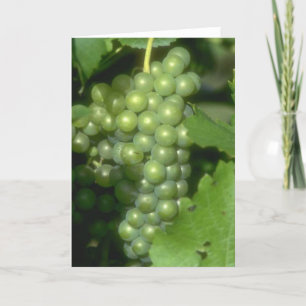 Cartão Grapes