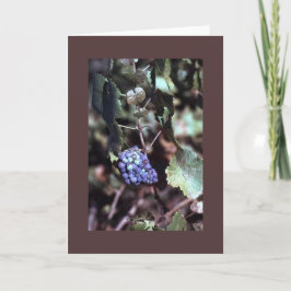 Cartão Grapevine Note Card