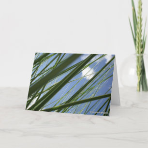 Cartão Grass Prism - Notecard