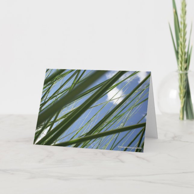 Cartão Grass Prism  - Notecard (Frente)