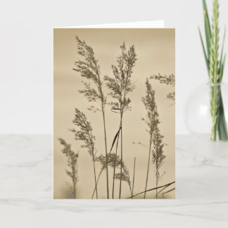 Cartão Grasses Note Card