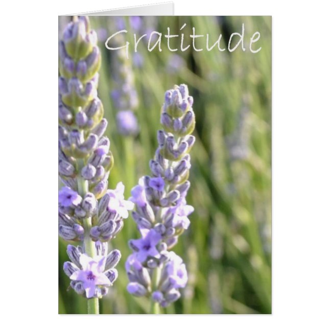 Cartão Gratidão (Frente)