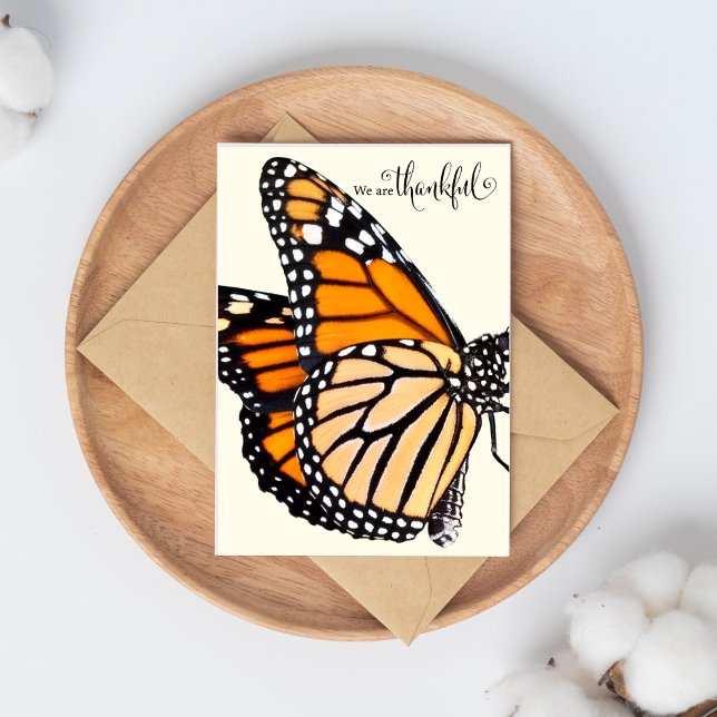Cartão Gratidão Flutuante: Borboleta Monarca Obrigado (The Butterfly Studio
We Are Thankful Monarch Butterfly Thank You Card)