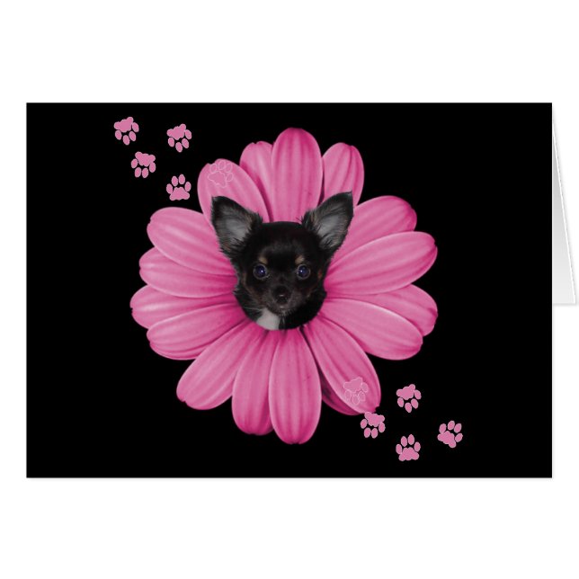 Cartão Grátis Sly Heaven Chihuahua (Frente Horizontal)