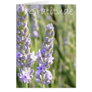 Cartão Gratitude