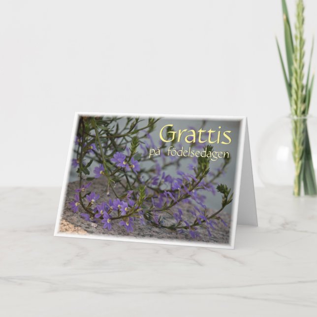 Cartão Grattis på födelsedagen CC0513 (Frente)