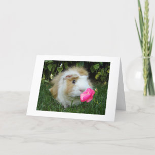 CARTÃO GRATUITO GERBIL FELIZ É O "SEU" ANIVERSÁRIO NÃO O