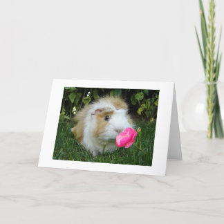 CARTÃO GRATUITO GERBIL FELIZ É O "SEU" ANIVERSÁRIO NÃO O 