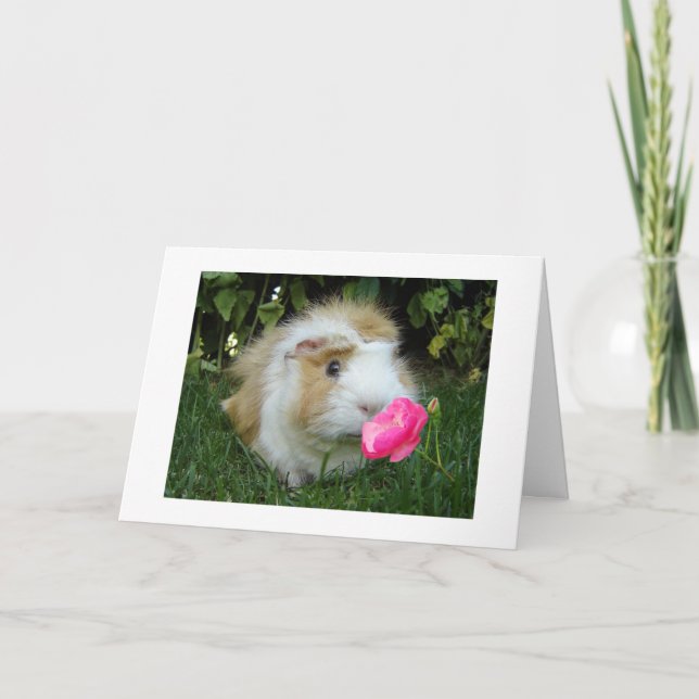 CARTÃO GRATUITO GERBIL FELIZ É O "SEU" ANIVERSÁRIO NÃO O  (Frente)