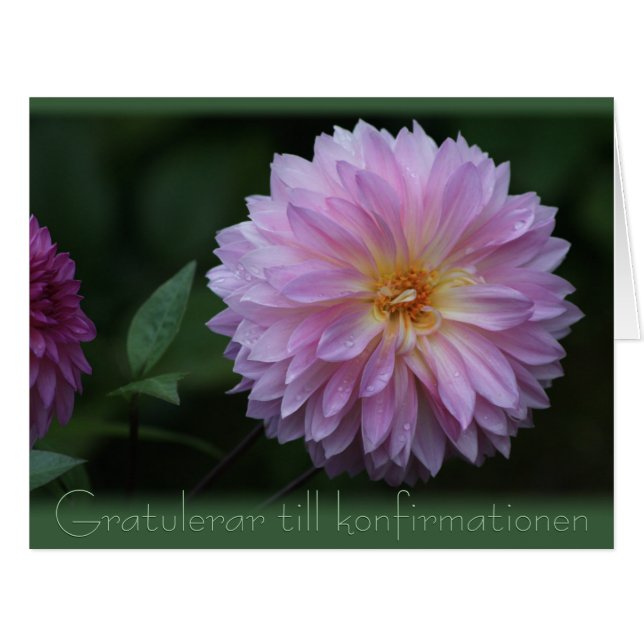 Cartão Gratulerar até konfirmationen CC0504 Grande (Frente horizontal)