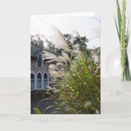 Cartão Graus Altos Arrancados Janelas - Vineyard de Marth