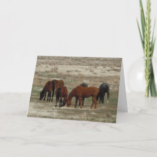 Cartão Grava-se ao novo Formando Vet - DVM de classificaç