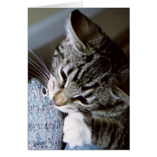 Cartão gravidez com rato