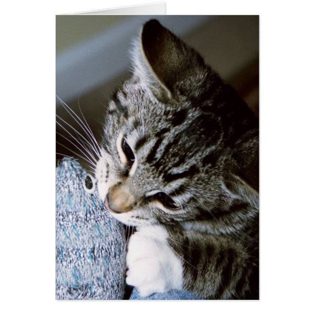 Cartão gravidez com rato (Frente)