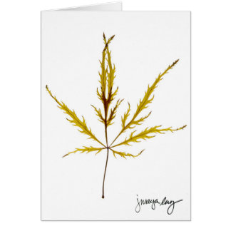 Cartão "Gravou a folha" por J. Maya Luz