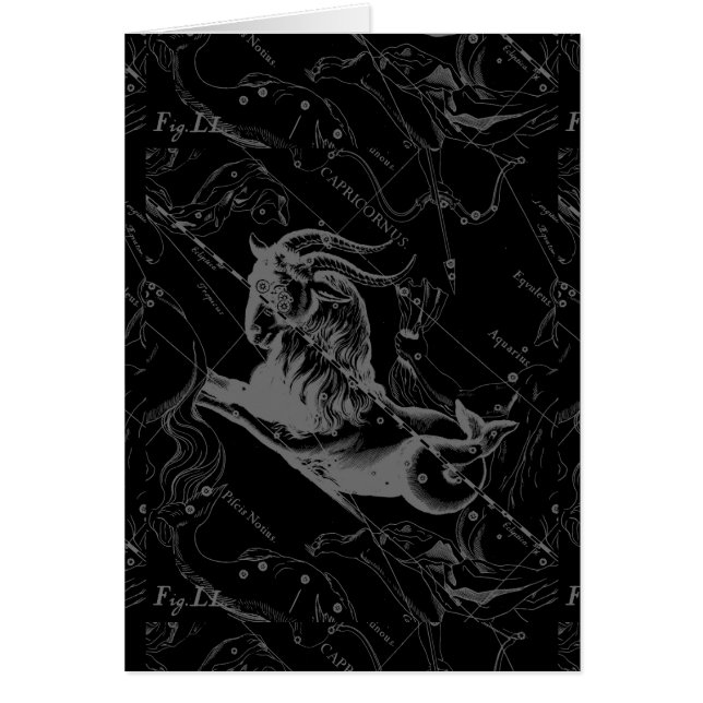 Cartão Gravura de Hevelius do mapa da constelação do (Frente)