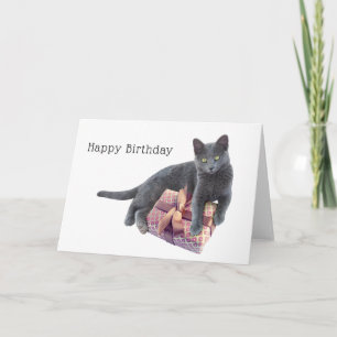 Cartão Gray Cat with Present Birthday Card