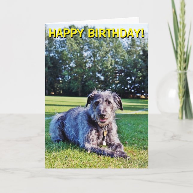 Cartão Gray lurcher customizable greetings card (Frente)