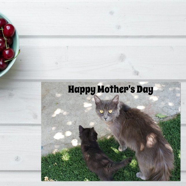 Cartão Gray Mother Cat & Black Kitten Happy Mother's Day (Criador carregado)