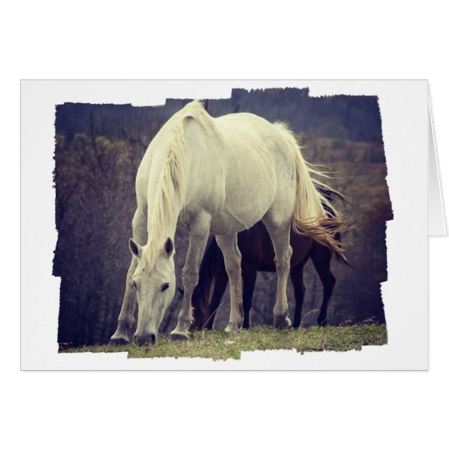 Cartão Graze (Frente Horizontal)