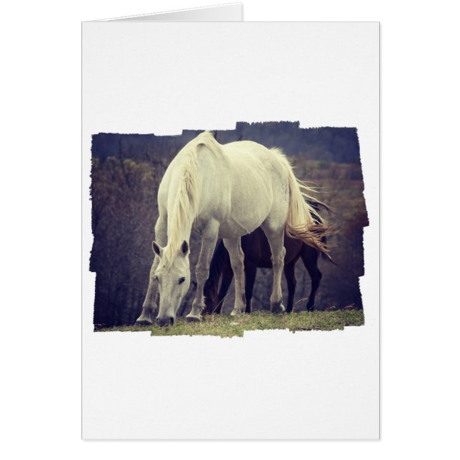 Cartão Graze (Frente)