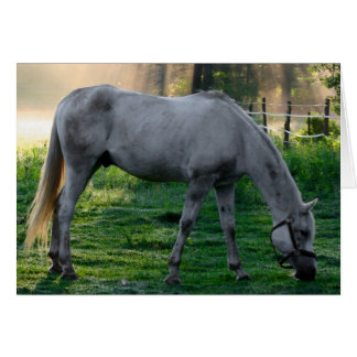 Cartão Graze Belo Cavalo Incrível