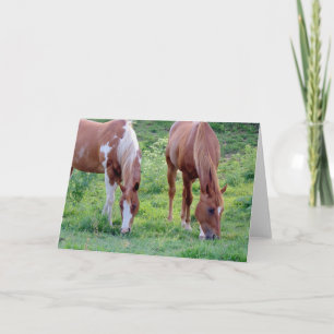 Cartão Grazing Horses