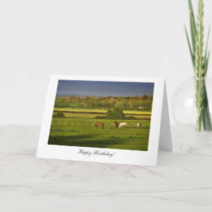 Cartão Grazing Horses / Ponies - Happy Birthday