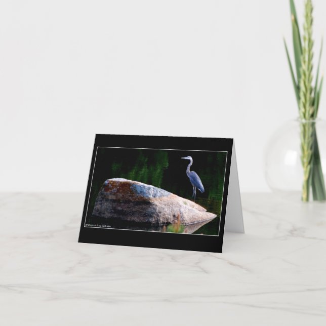 Cartão Great Blue Heron (Frente)
