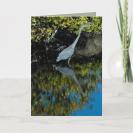 Cartão Great Blue Heron #1 Greeting Card