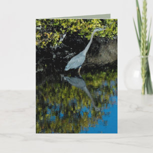 Cartão Great Blue Heron #1 Greeting Card