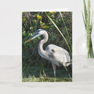 Cartão "Great Blue Heron 1." Greeting Card