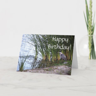 Cartão Great Blue Heron Bird Wildlife Animal Birthday