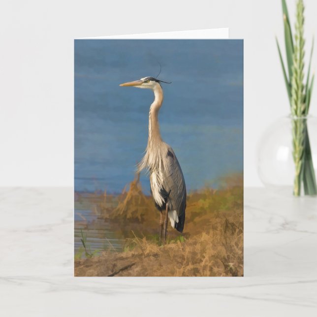 Cartão Great Blue Heron Blank Note or Greeting Card (Frente)