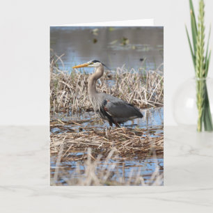 Cartão Great Blue Heron Greeting Card