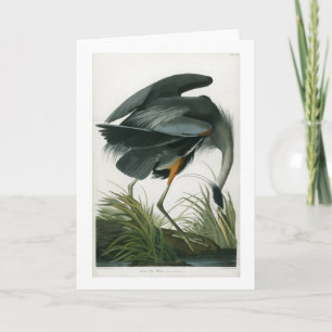Cartão Great Blue Heron, John James Audubon