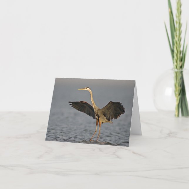Cartão Great Blue Heron Landing Note Card (Frente)