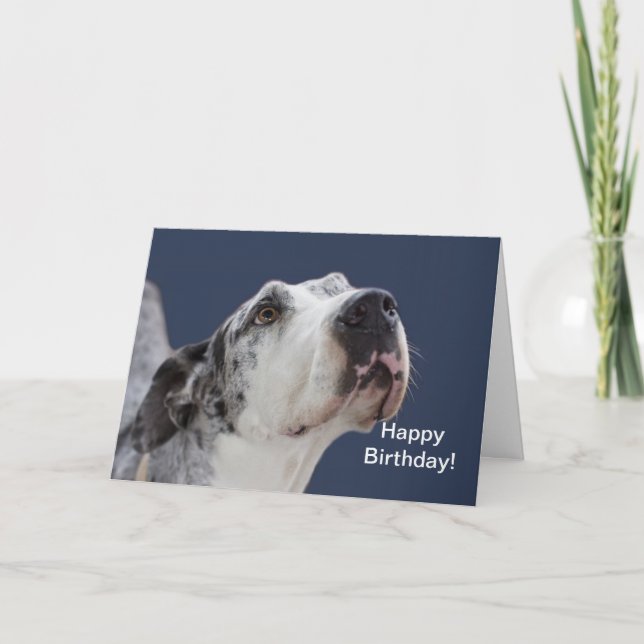 Cartão Great Dane Birthday Card (Frente)