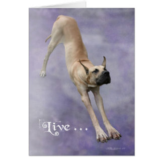 Cartão Great Dane 'Duke'